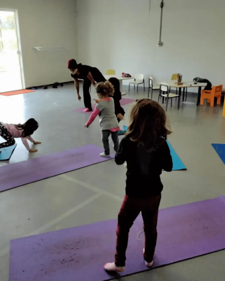 escola da serra pouso alegre (16)